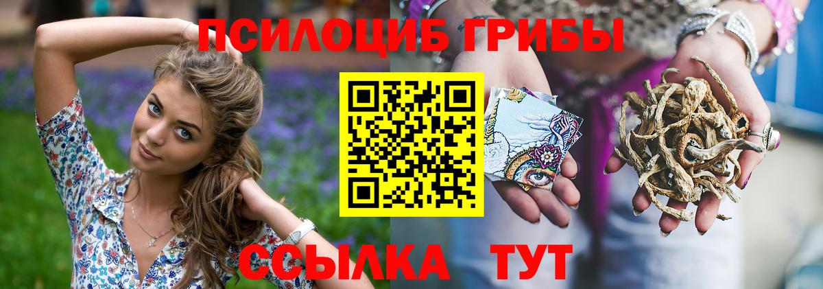 Галлюциногенные грибы Psilocybine cubensis  Вход с VPN  Уварово 